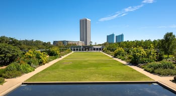 Woodlands Town Center