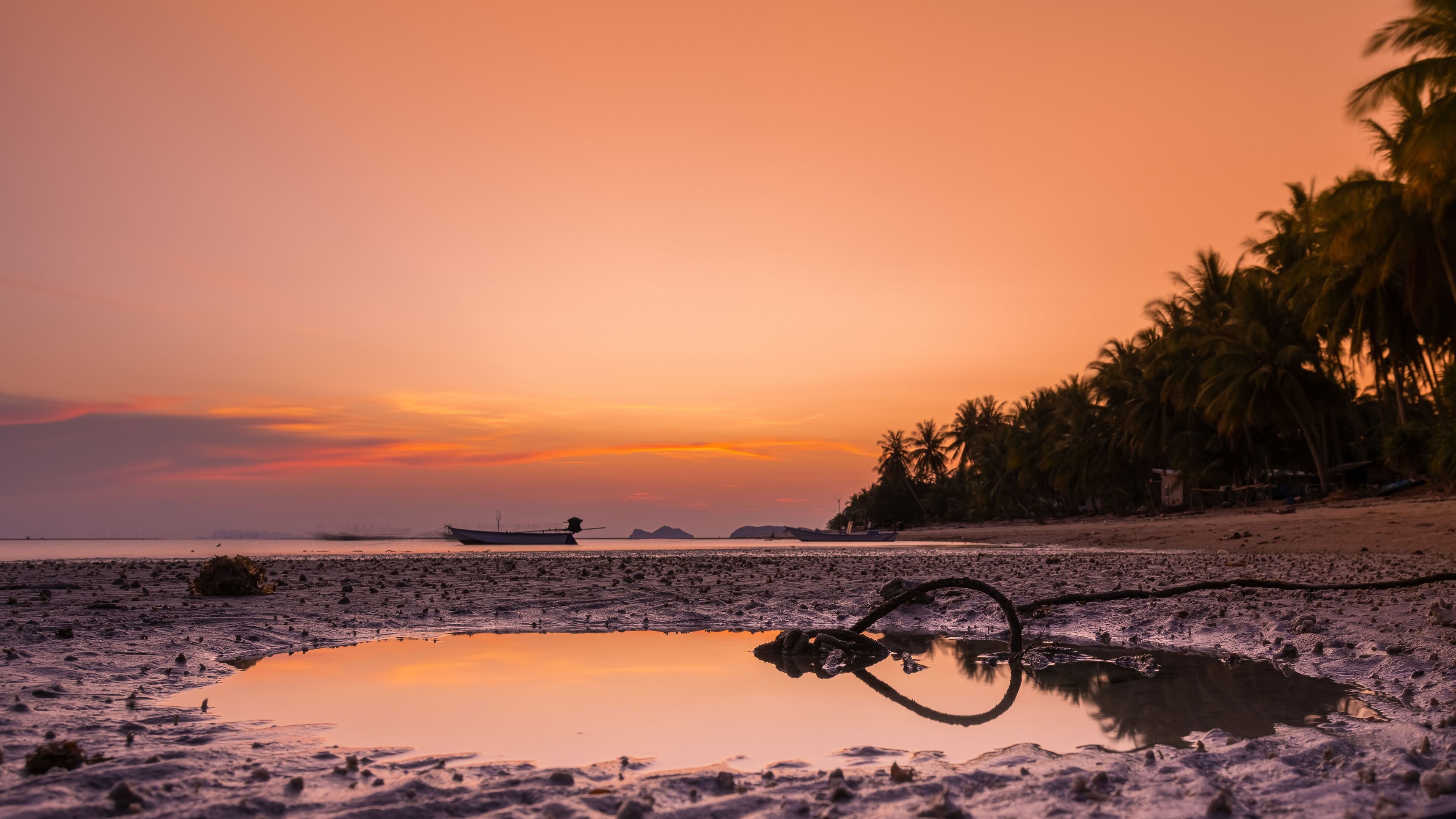 A beach at sunset with a boat in the distance, palm trees, and a reflective puddle.