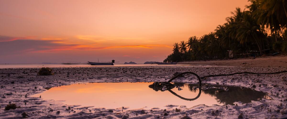 A beach at sunset with a boat in the distance, palm trees, and a reflective puddle.