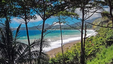 Beautiful tropical caribbean lonely lagoon, turquoise blue water, empty sand beach, strong surf waves - Port Antonio, Jamaica