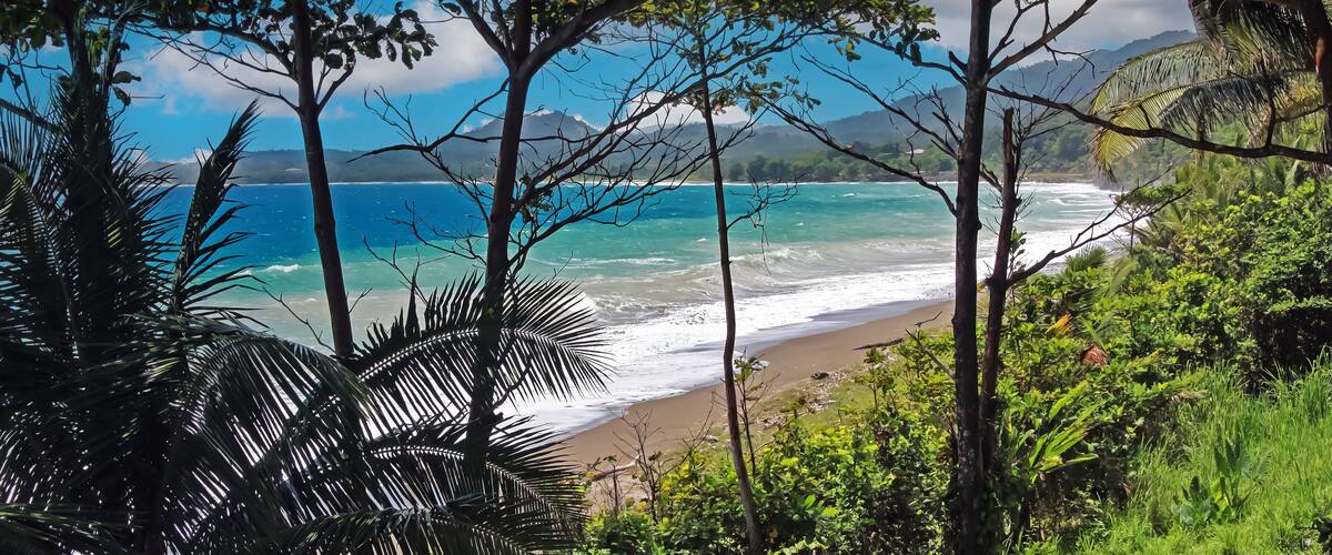 A tropical beach with clear blue waters, sandy shore, and lush greenery.