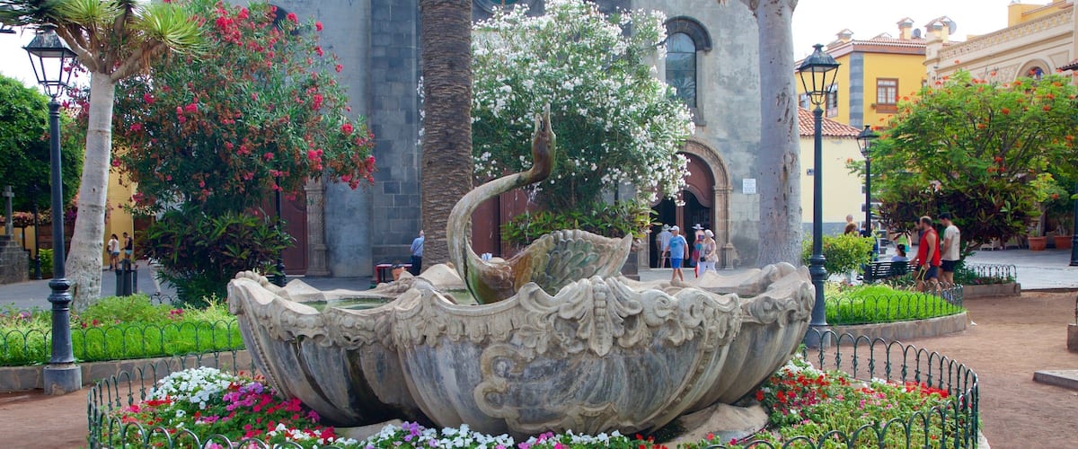Plaza del Charco showing a fountain, flowers and a park