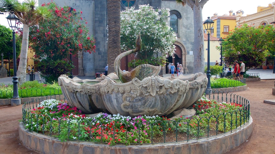 Plaza del Charco showing a fountain, flowers and a park