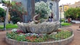 Plaza del Charco showing flowers, a park and a fountain