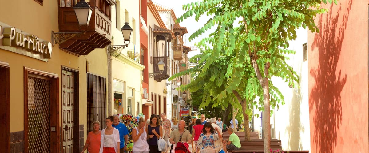 A narrow street lined with buildings, a tree, and a bench.