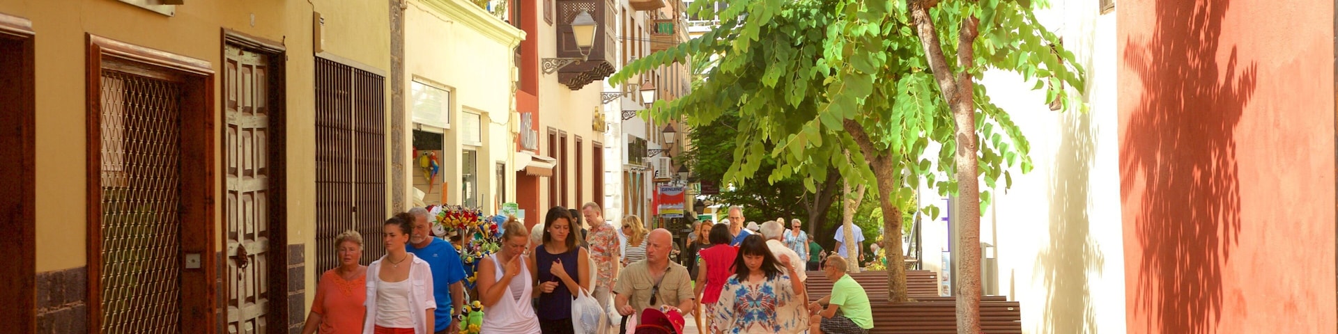A narrow street lined with buildings, a tree, and a bench.