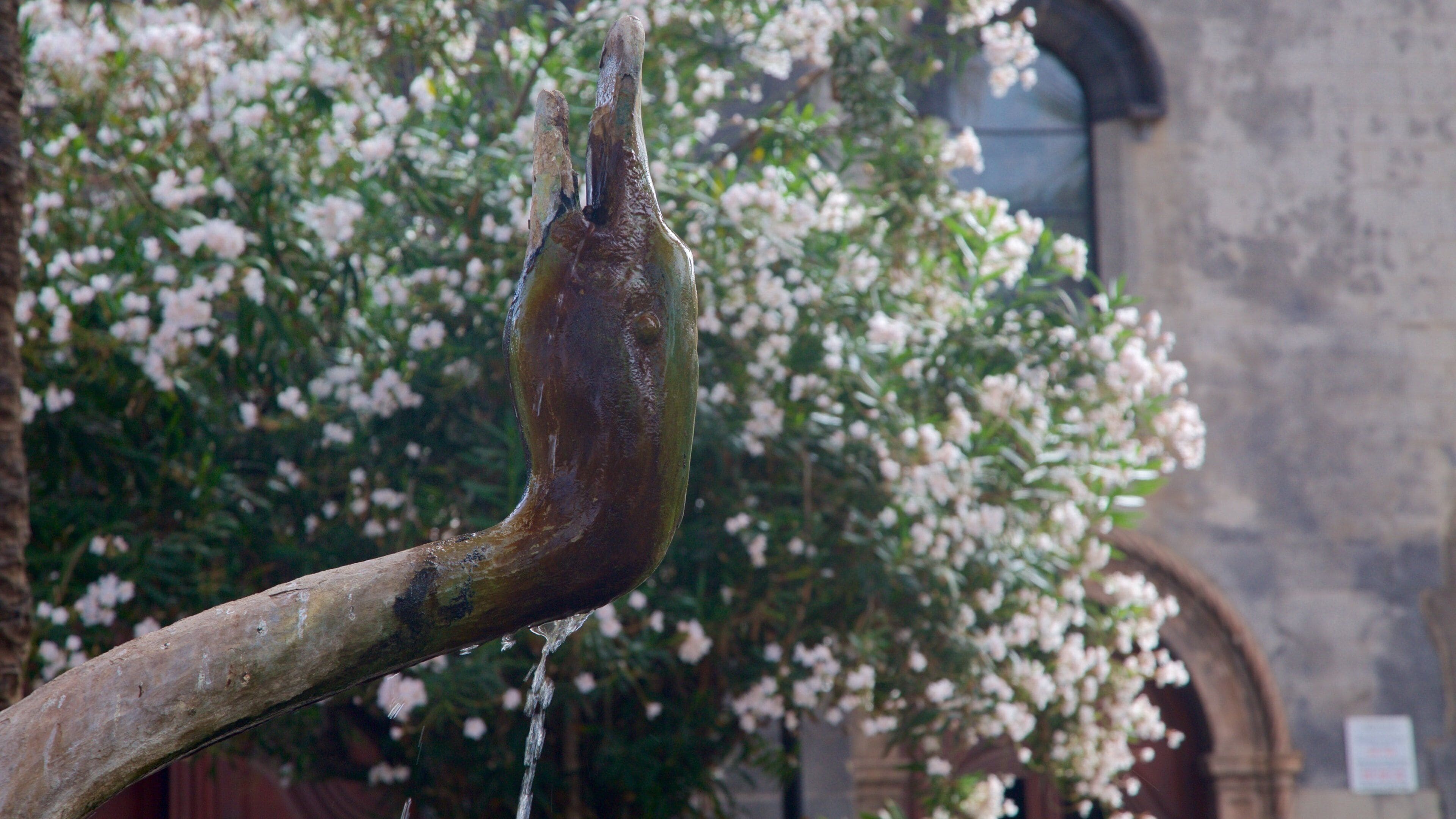 Plaza del Charco montrant une fontaine