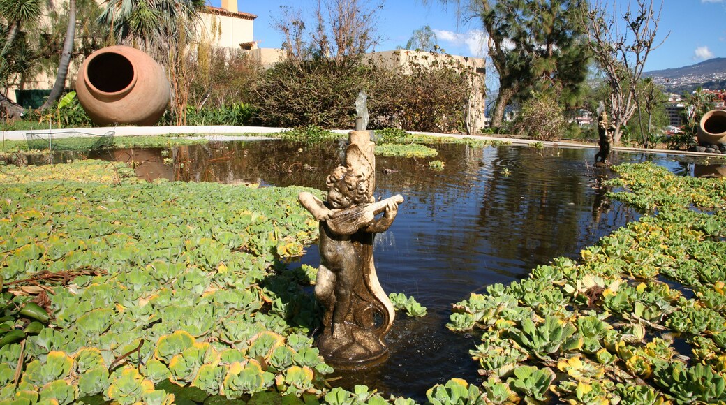 Risco Belle Aquatic Gardens