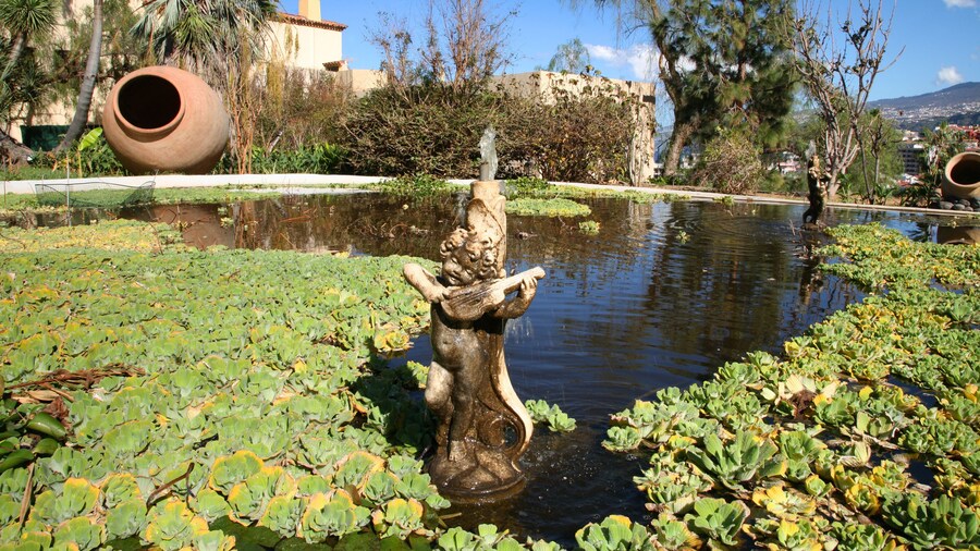 The Risco Belle Aquatic Gardens, in Puerto de la Cruz, Tenerife.; Shutterstock ID 93921061