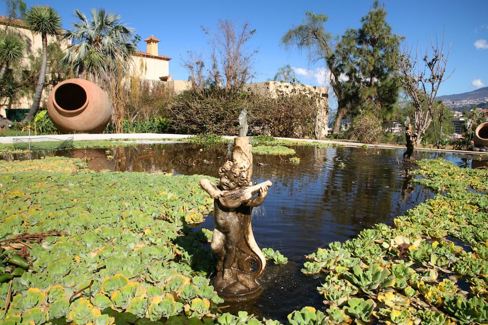 Una fuente con una estatua en un jardín con nenúfares, rodeado de palmeras y un muro de piedra.