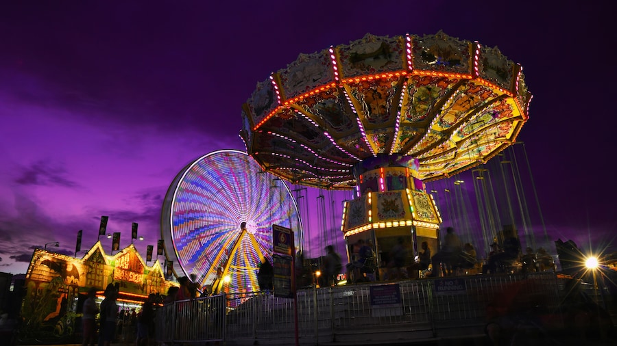 Swings and ferris wheel