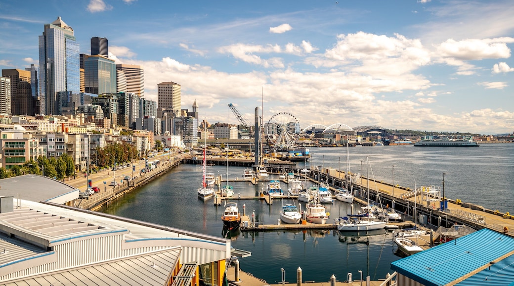 Belltown which includes a bay or harbor and a city