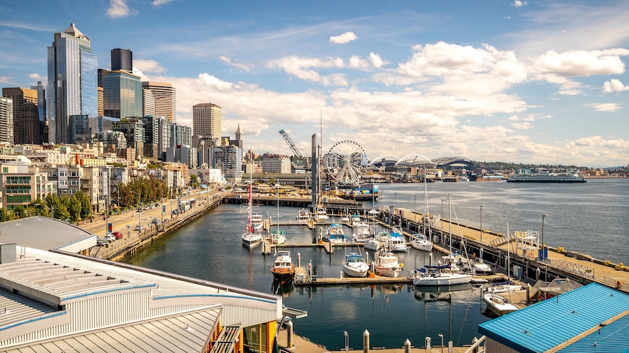 Belltown which includes a bay or harbor and a city