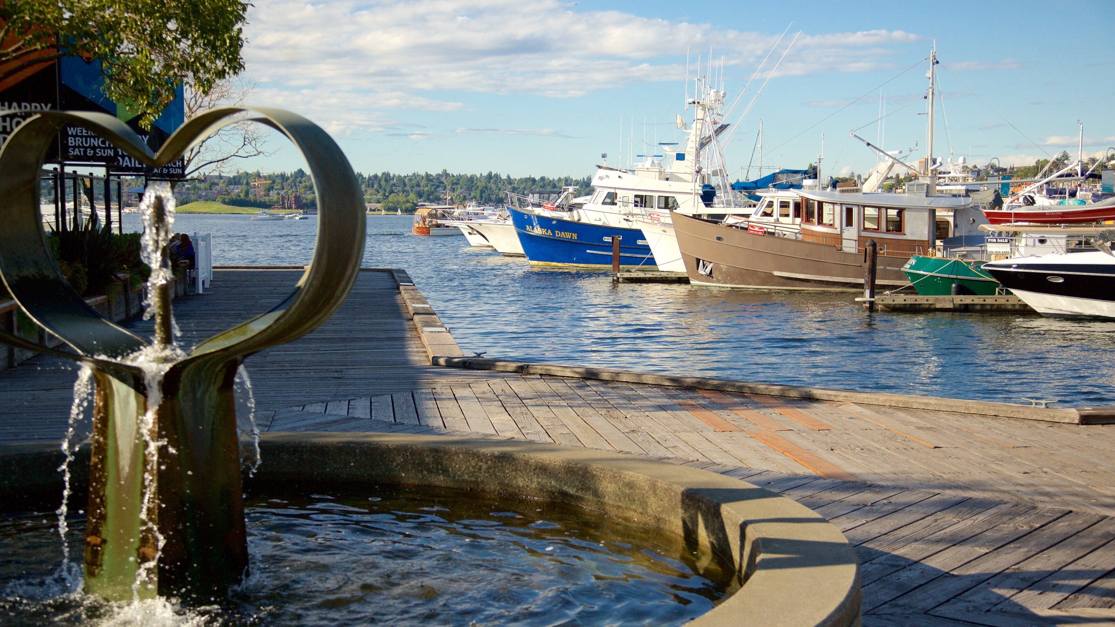 South Lake Union featuring a lake or waterhole, a fountain and a marina