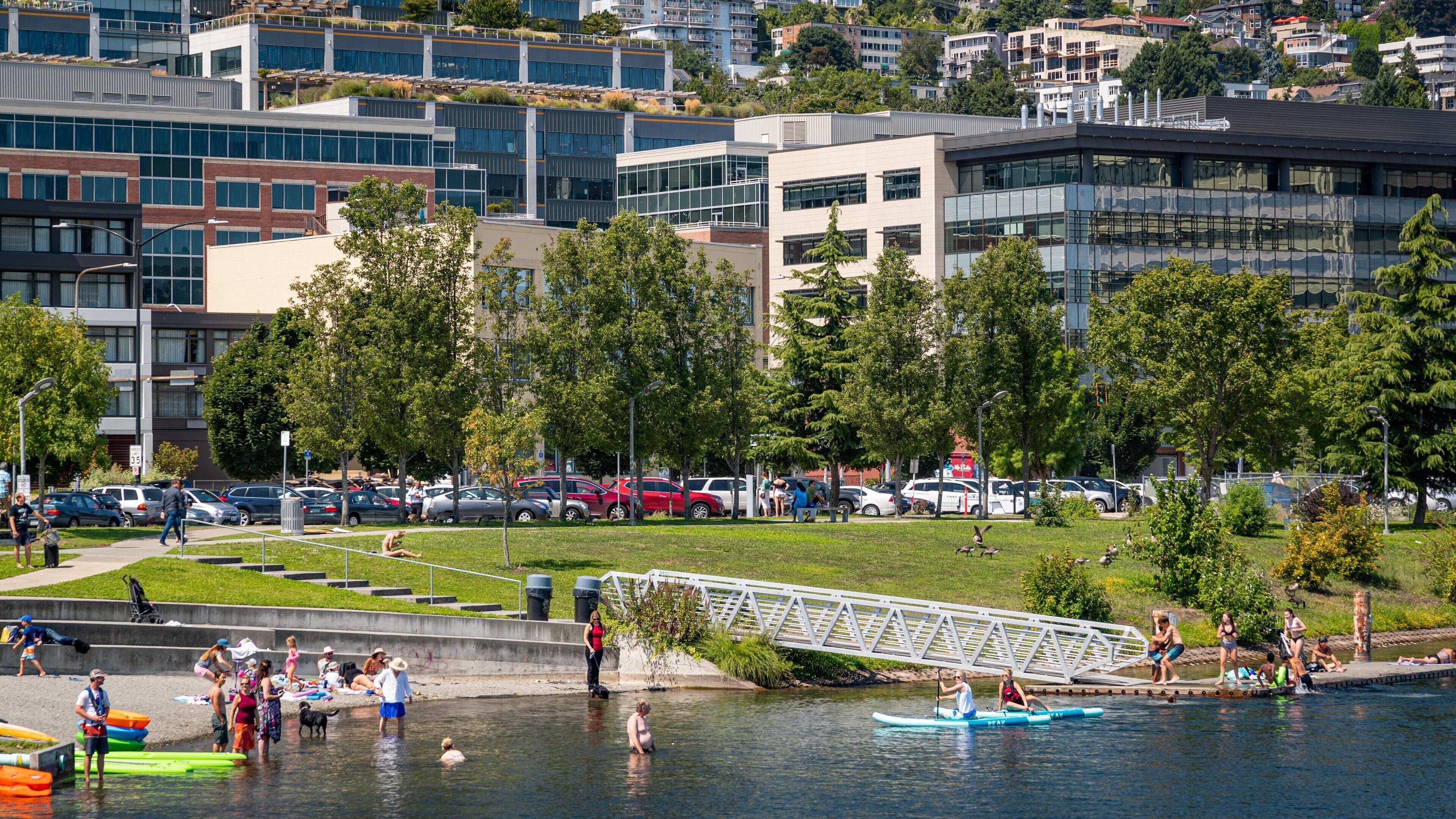 Ein Park am Flussufer mit badenden Personen, einer Brücke und modernen Gebäuden im Hintergrund.