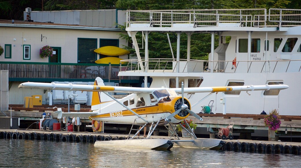 South Lake Union presenterar flygplan och en hamn eller havsbukt