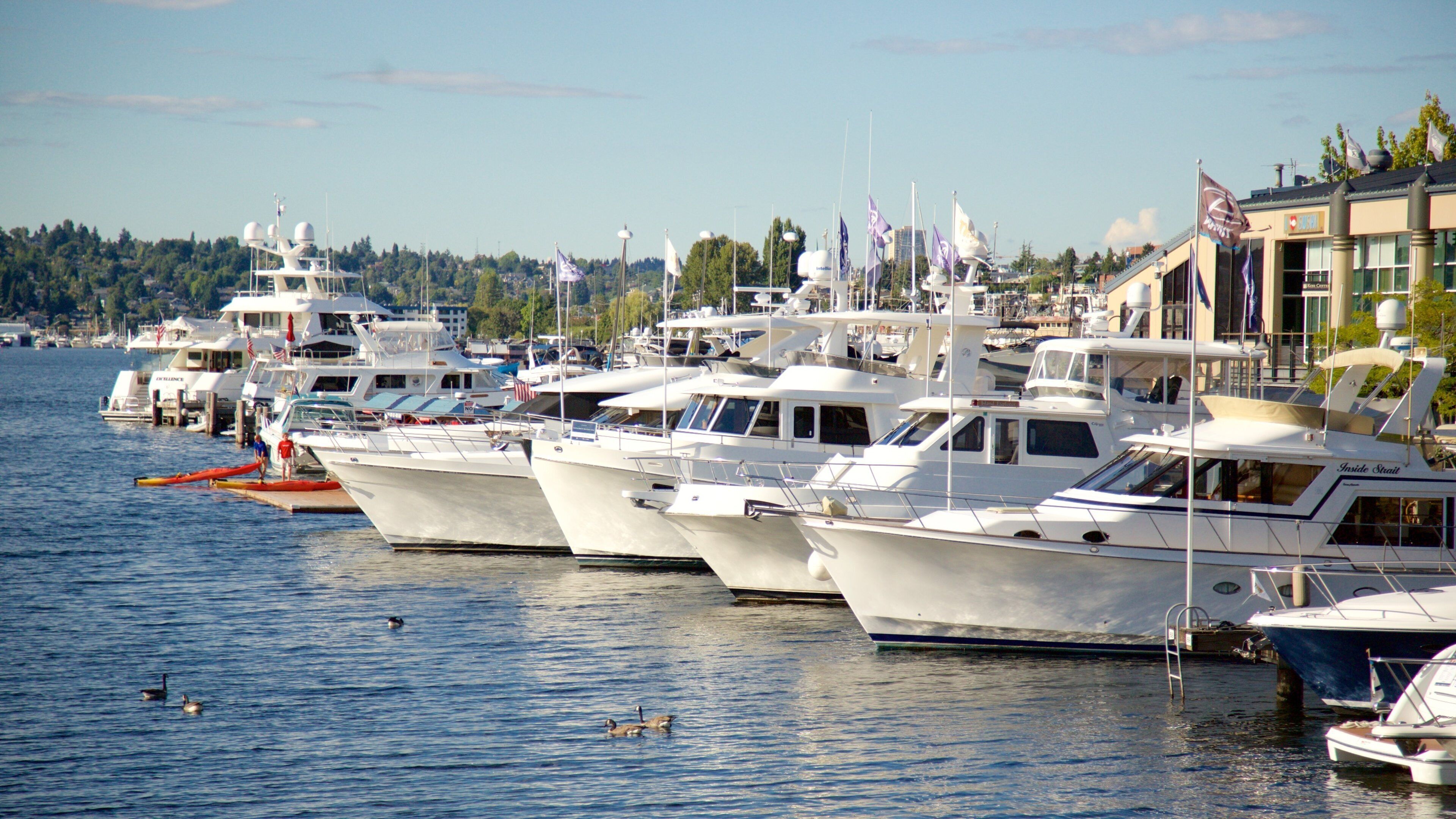 South Lake Union som viser innsjø og marina
