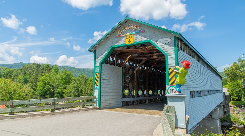 L\'Anse-Saint-Jean which includes a bridge