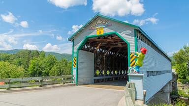 L\'Anse-Saint-Jean which includes a bridge