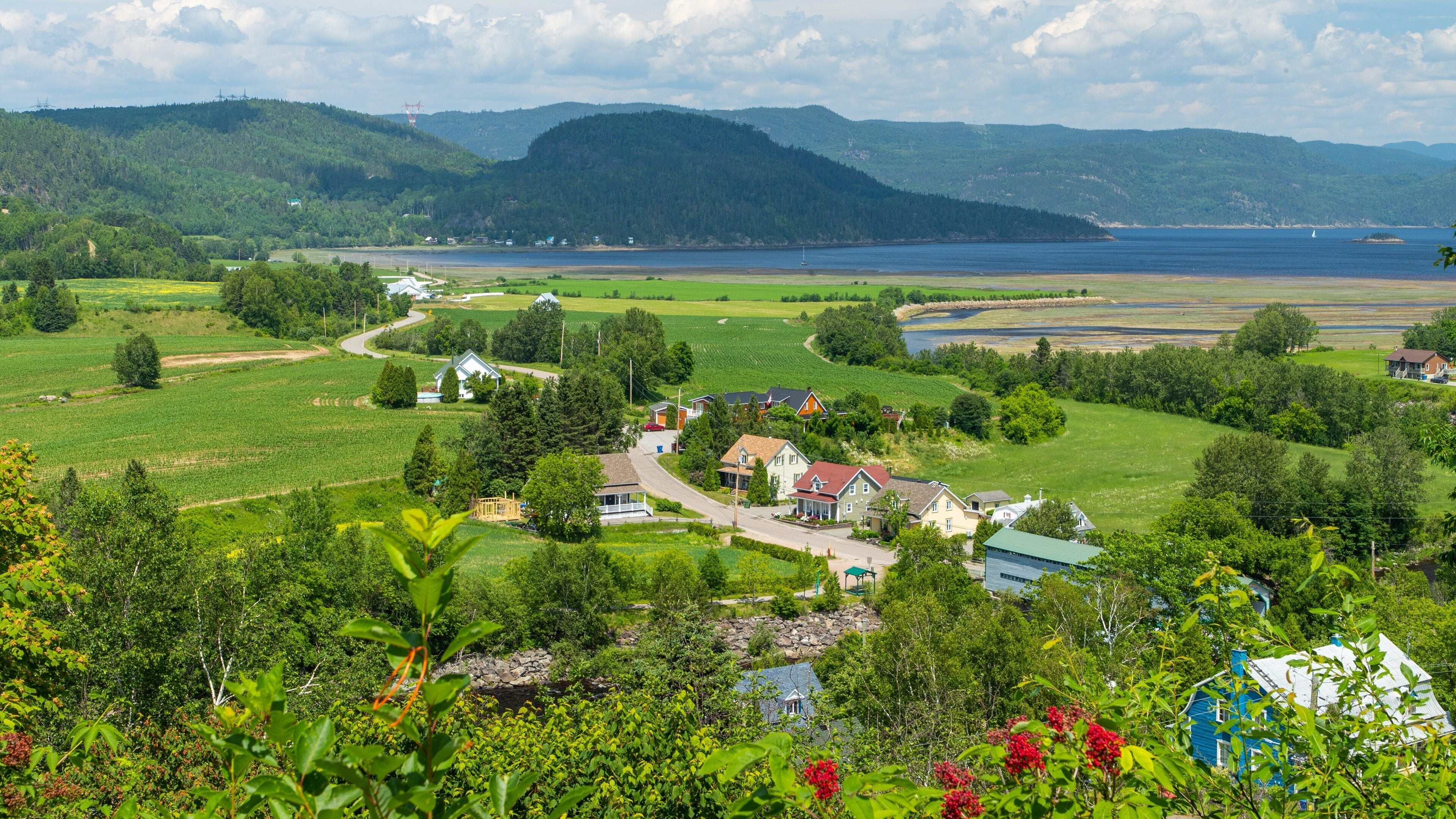 L\'Anse-Saint-Jean showing a small town or village, tranquil scenes and landscape views