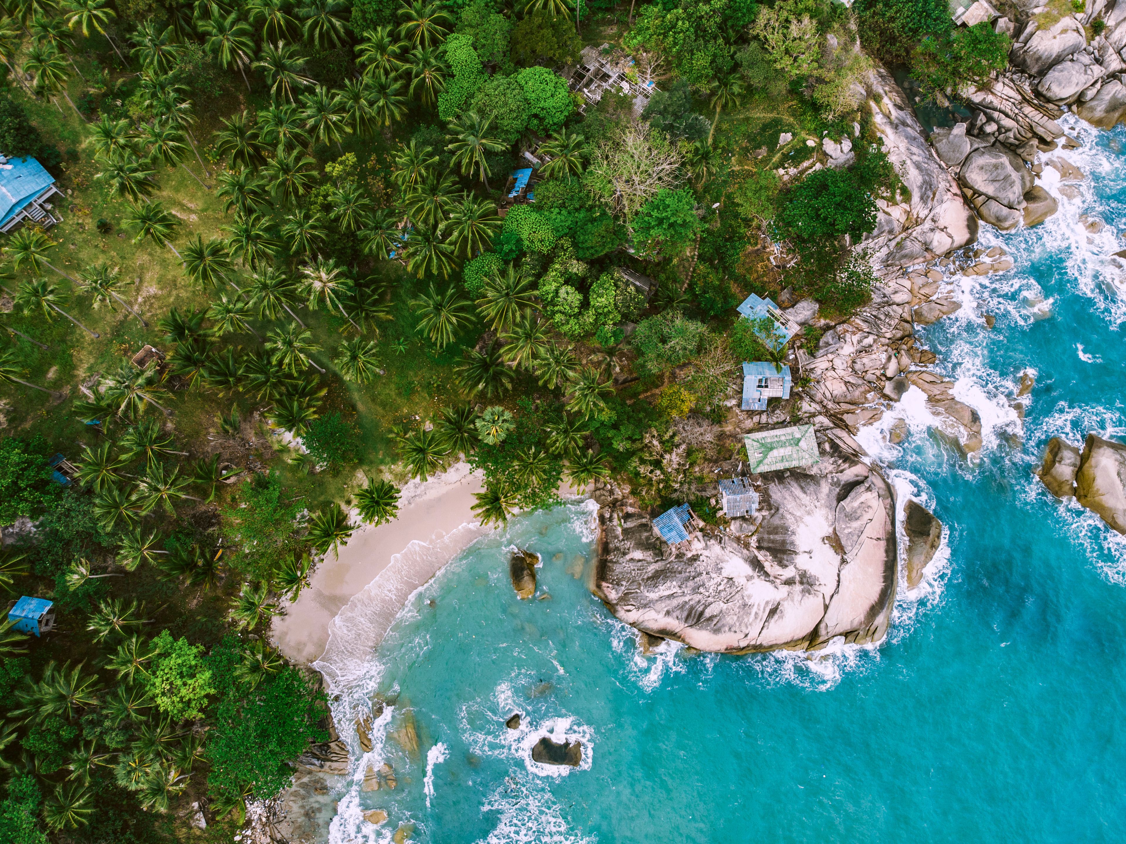 A tropical beach with clear turquoise waters, palm trees, and small houses.