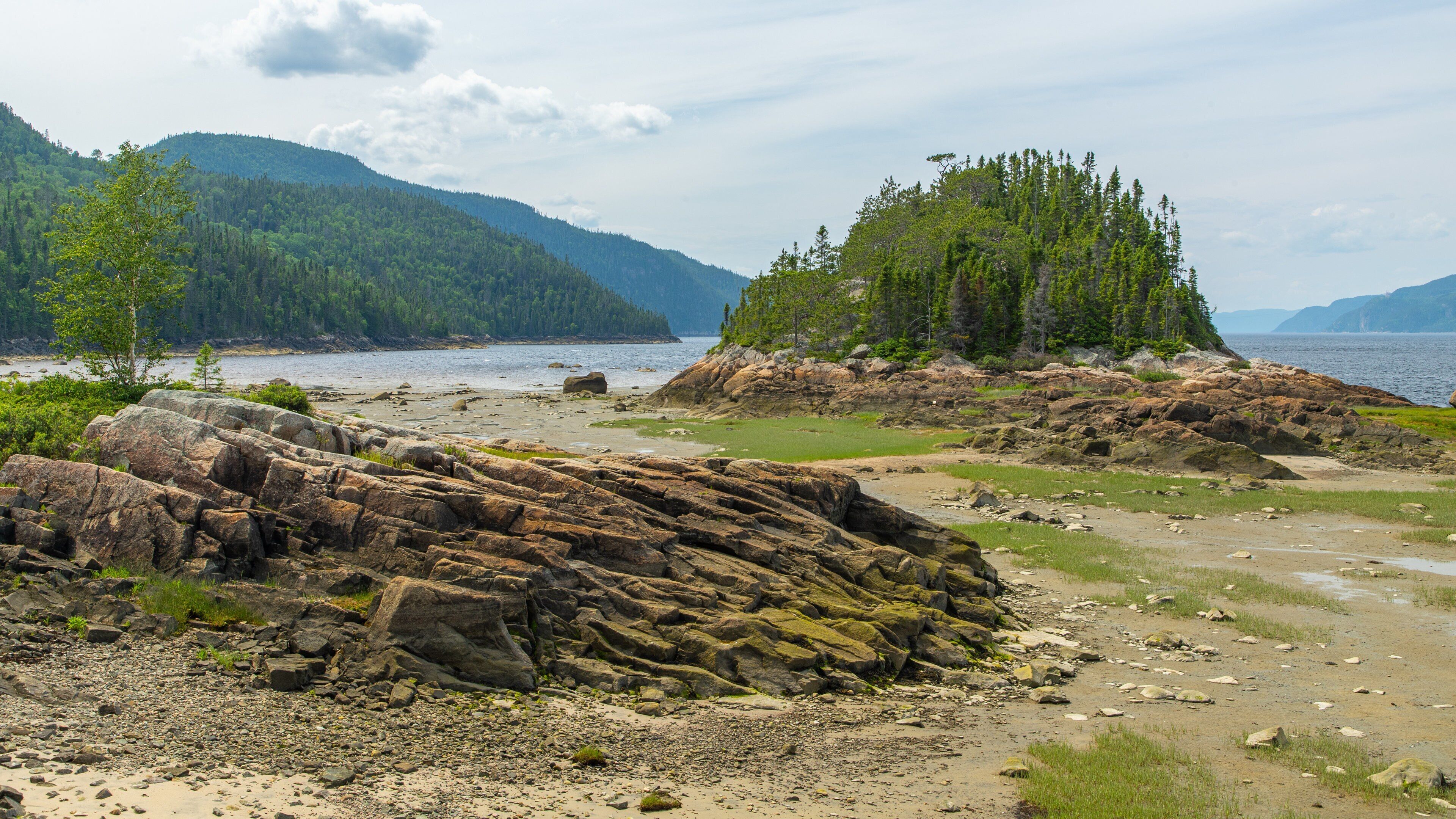 Petit-Saguenay showing tranquil scenes and general coastal views