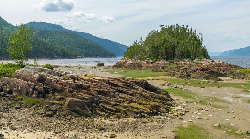 Petit-Saguenay showing tranquil scenes and general coastal views