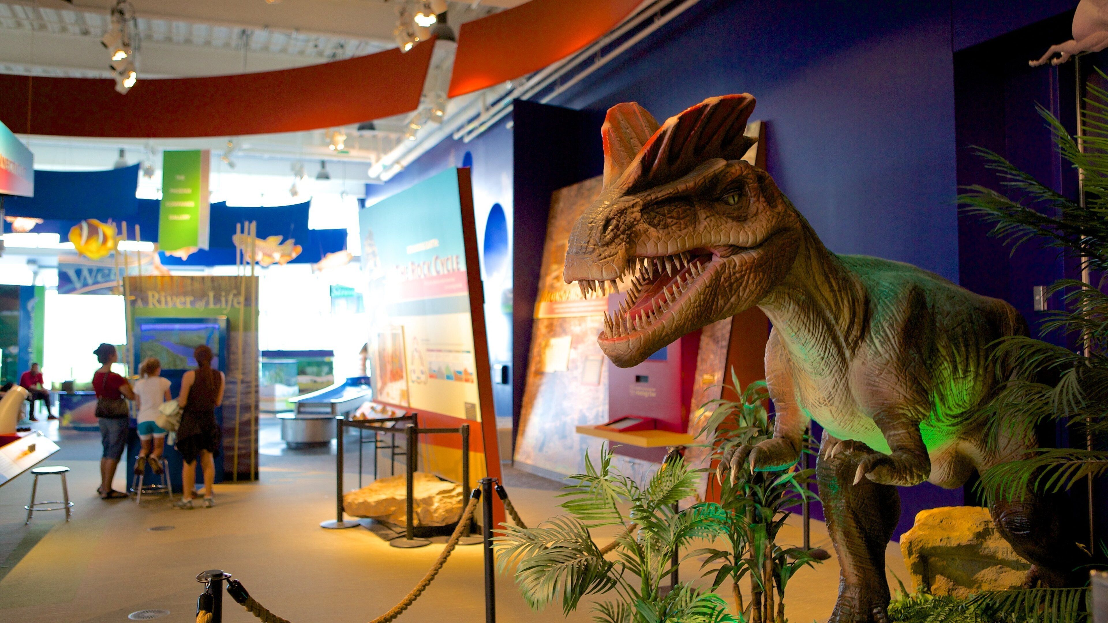Connecticut Science Center featuring interior views