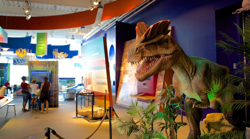 Connecticut Science Center featuring interior views