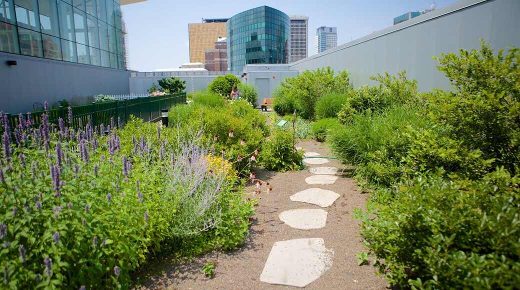 Connecticut Science Center showing a garden