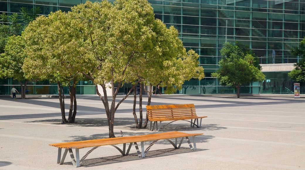 Santiago showing a garden