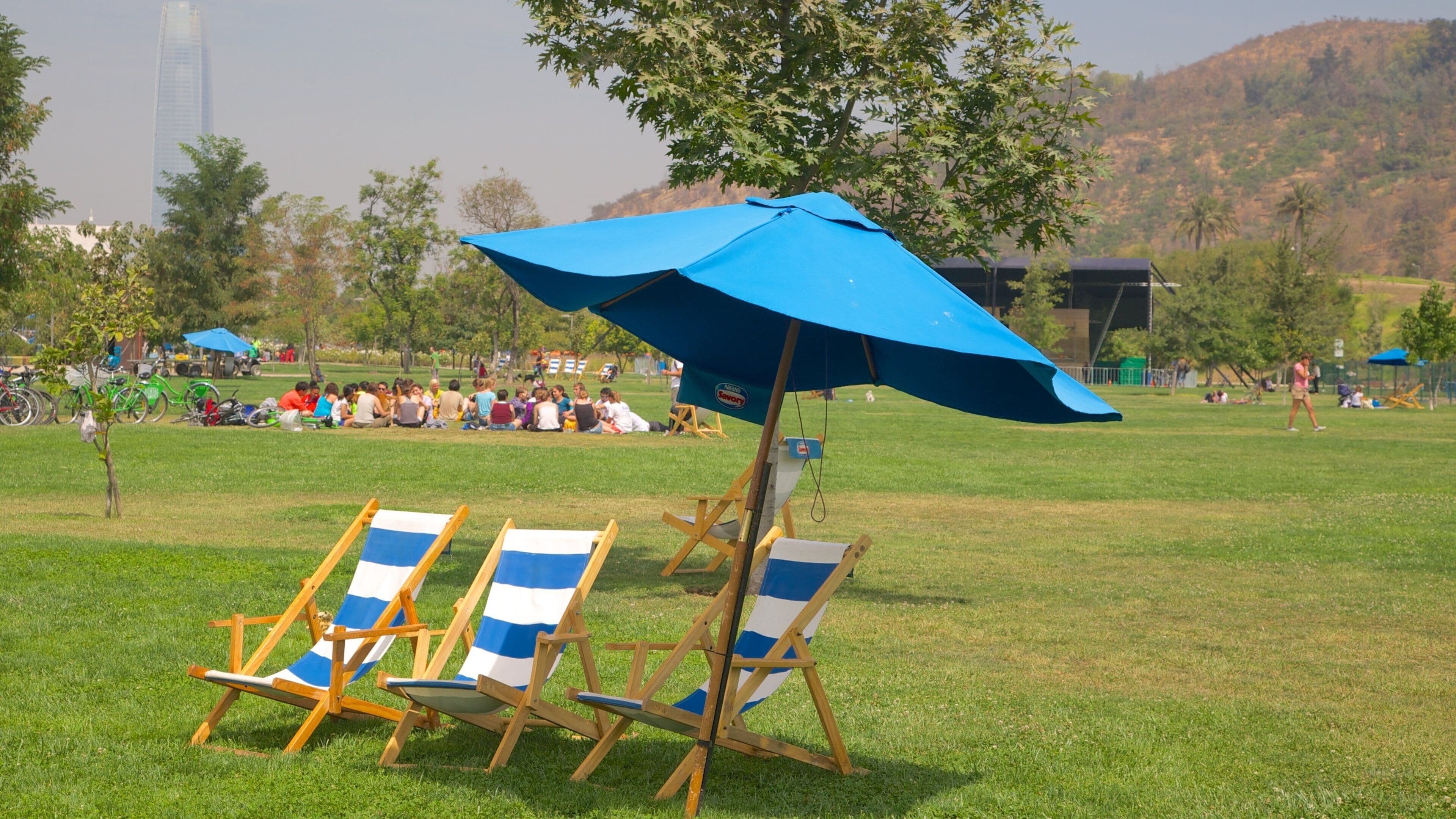 Santiago Metropolitan Region which includes a park