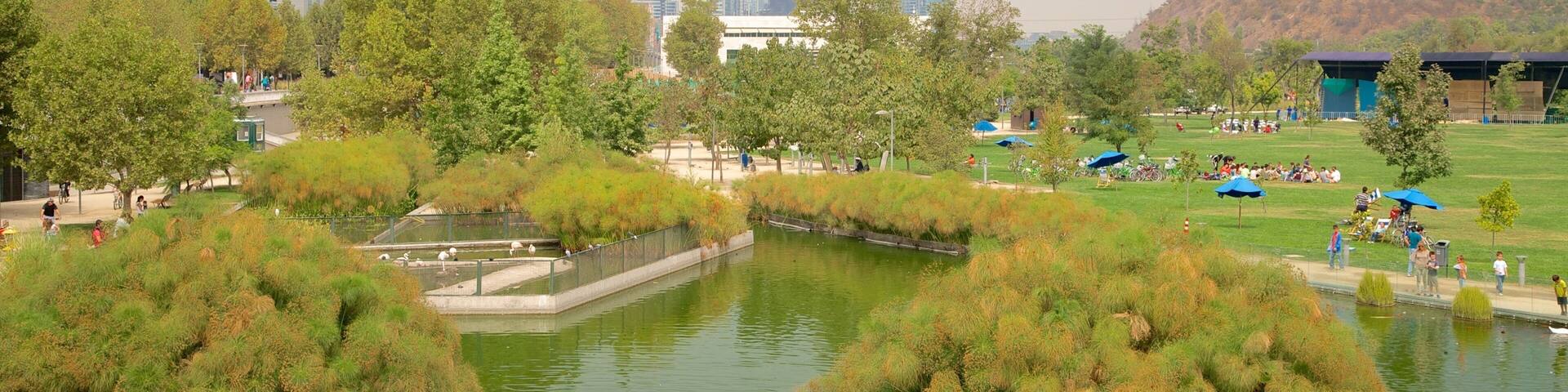 Santiago featuring a garden and a pond