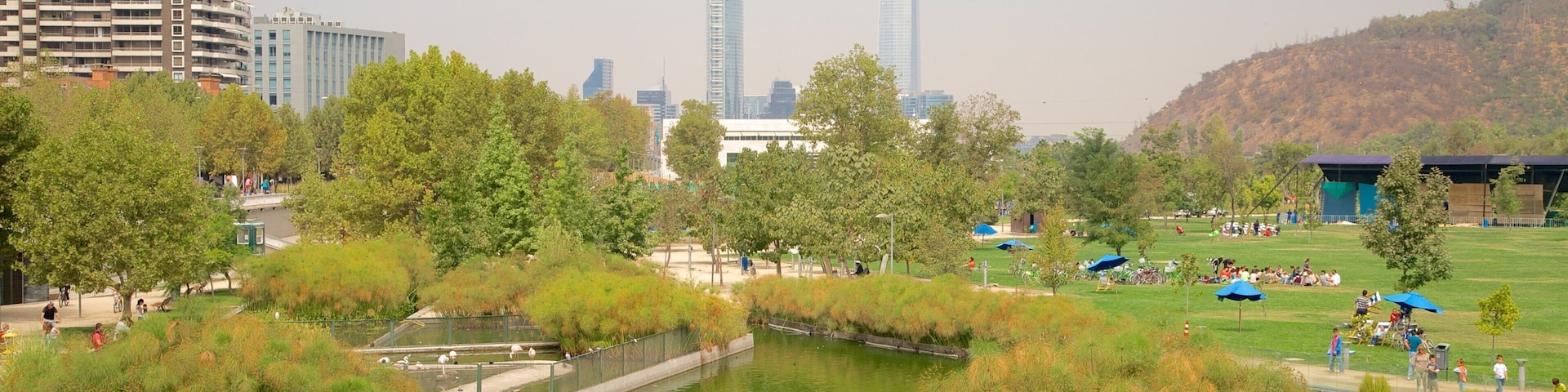 Parque Bicentenario ofreciendo un jardín y un estanque