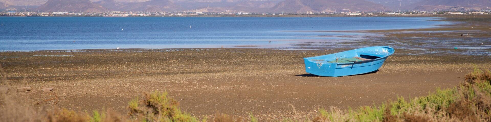 El Zacatal showing landscape views and a lake or waterhole