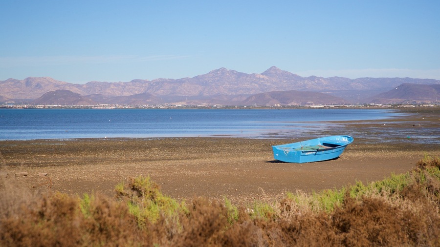 El Zacatal showing landscape views and a lake or waterhole
