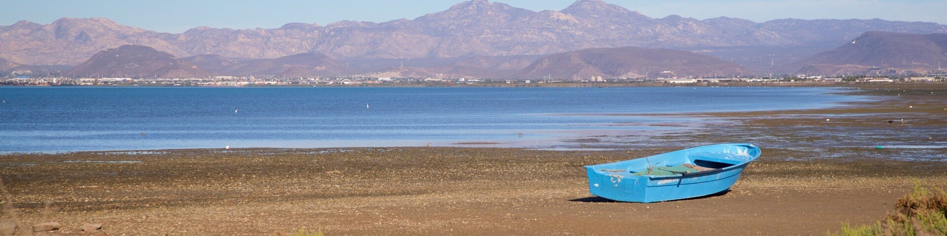 El Zacatal showing landscape views and a lake or waterhole