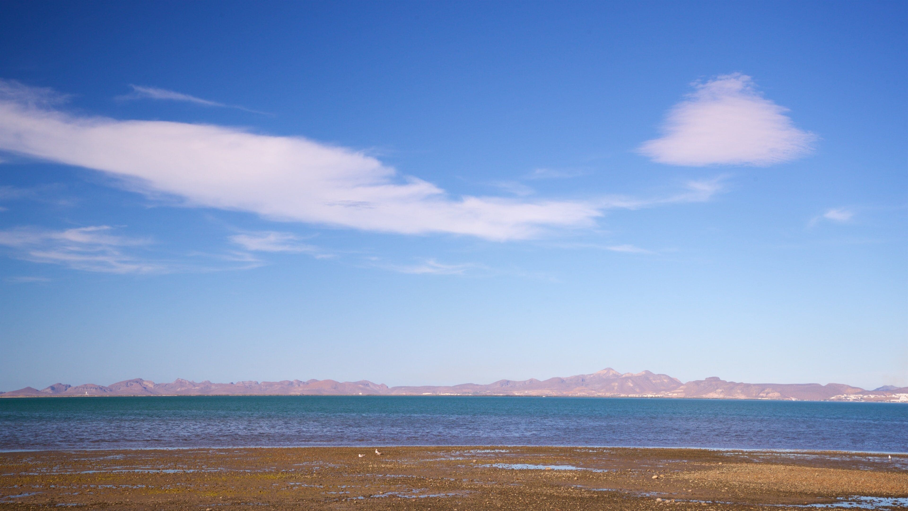 El Zacatal showing a sandy beach, landscape views and general coastal views