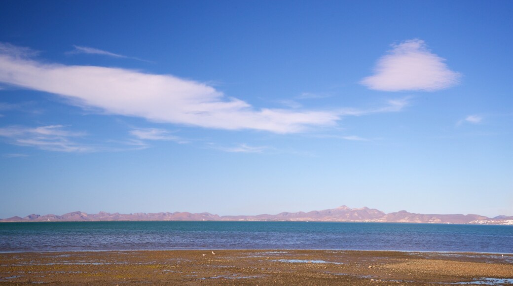El Zacatal showing a sandy beach, landscape views and general coastal views