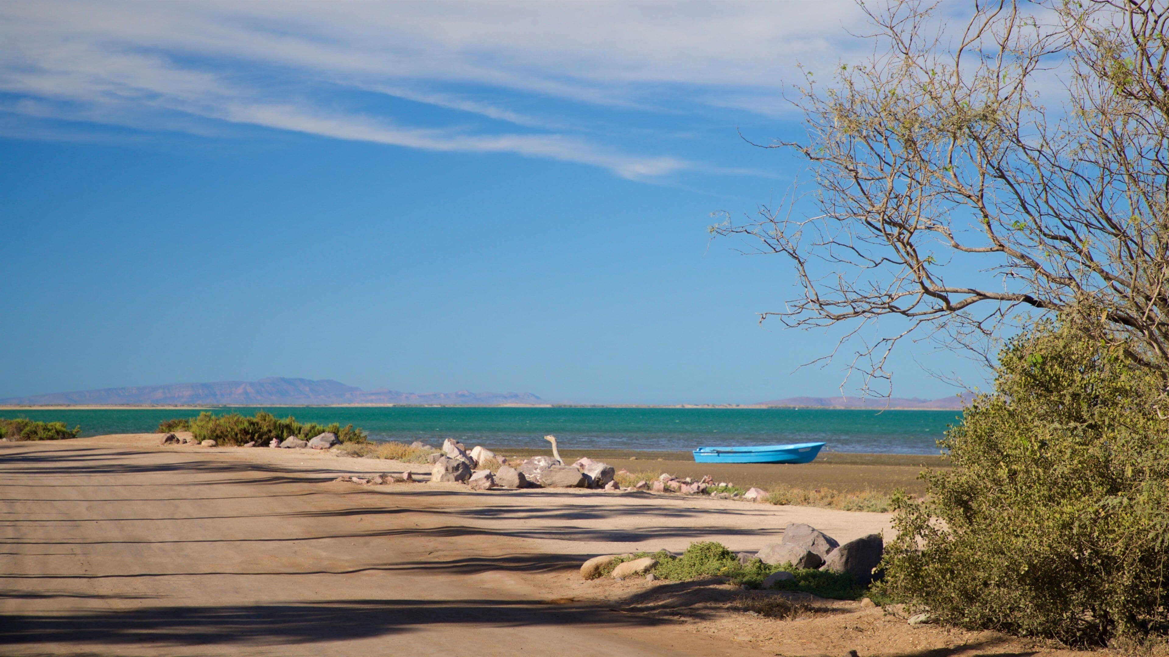 El Zacatal featuring general coastal views