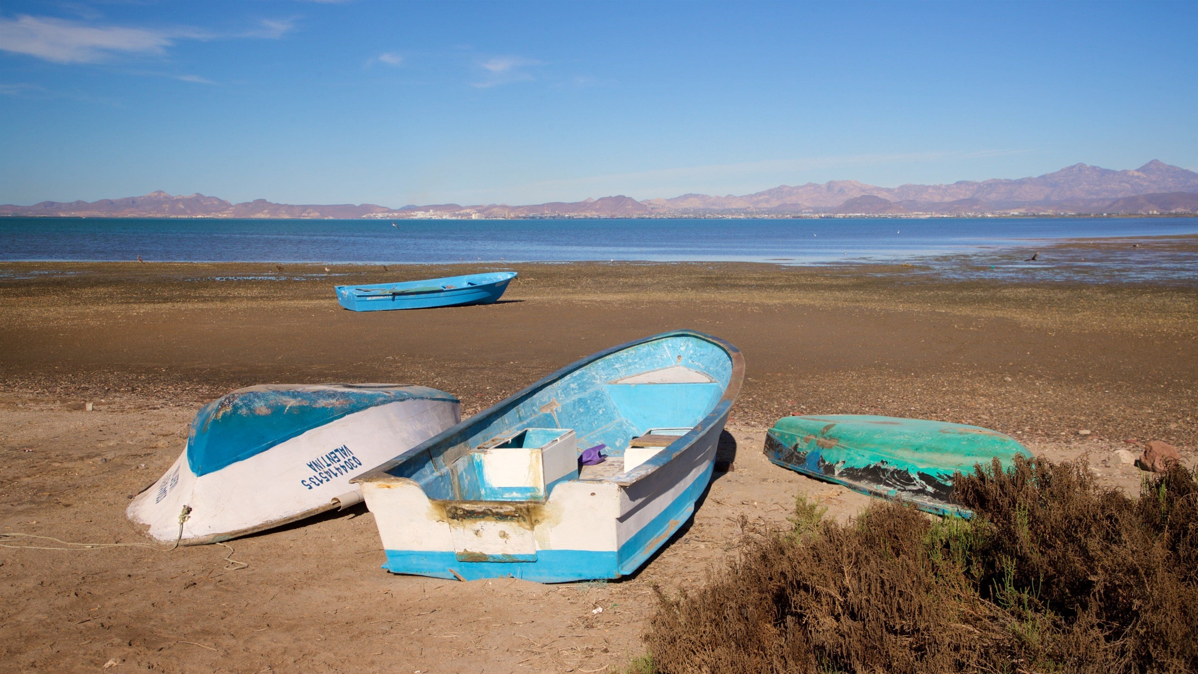 El Zacatal which includes landscape views and a lake or waterhole