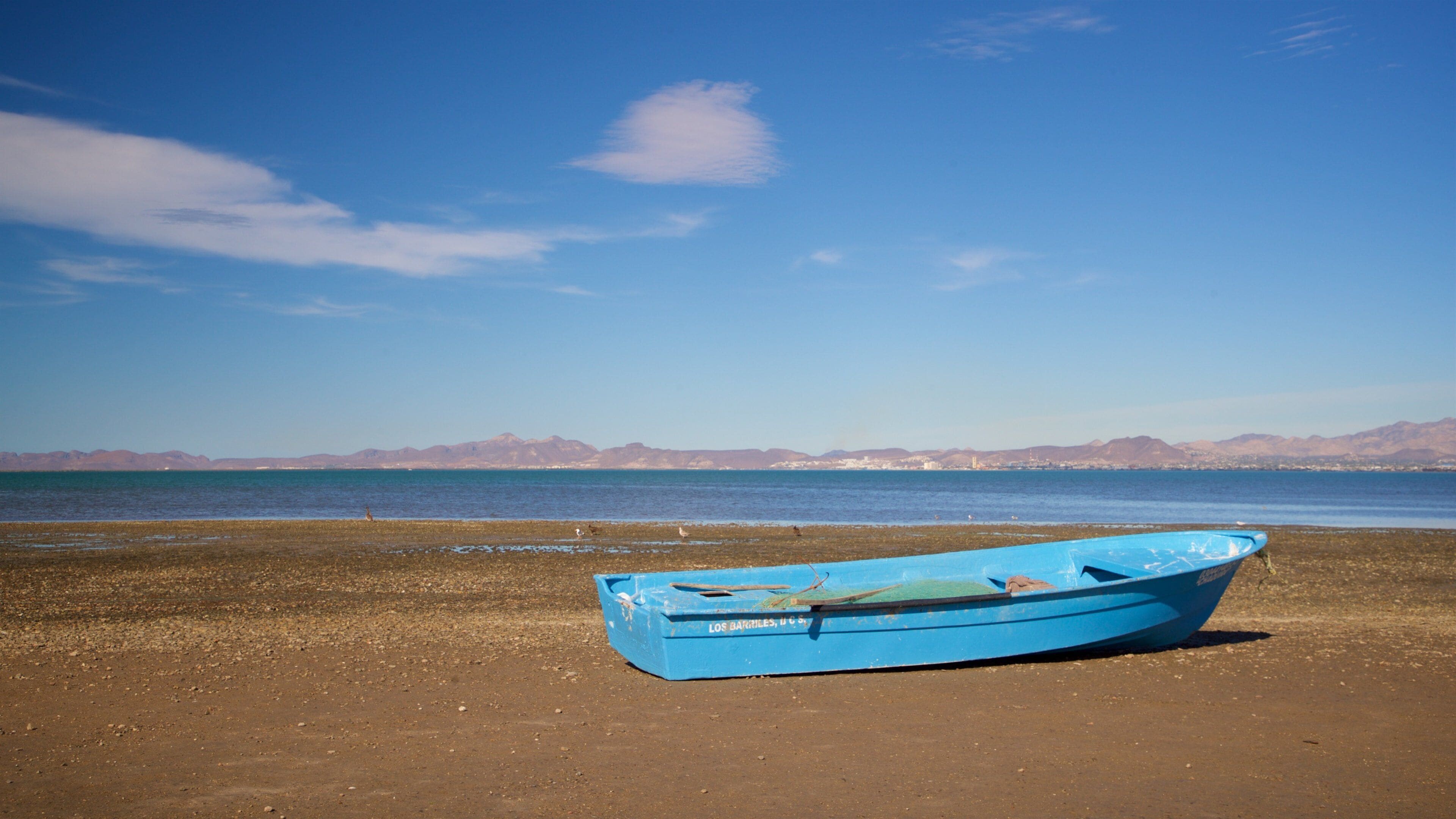 El Zacatal showing landscape views and a lake or waterhole