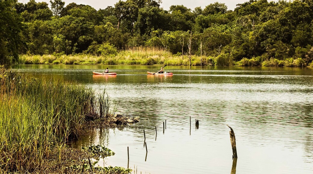 Pusat Semula Jadi Armand Bayou