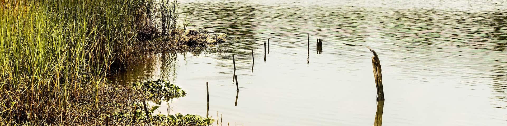 Pasadena - May 28: Unidentified kayakers paddle down Armand Bayou Pasadena Texas on May 28 2017 Pasadena, Texas; Shutterstock ID 651286045; Purchase Order: -