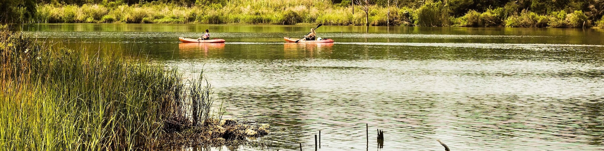 Pasadena - May 28: Unidentified kayakers paddle down Armand Bayou Pasadena Texas on May 28 2017 Pasadena, Texas; Shutterstock ID 651286045; Purchase Order: -