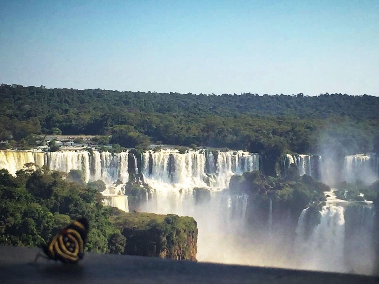 #brazil #nature #green #river #butterfly #TroveOnTuesday
2017