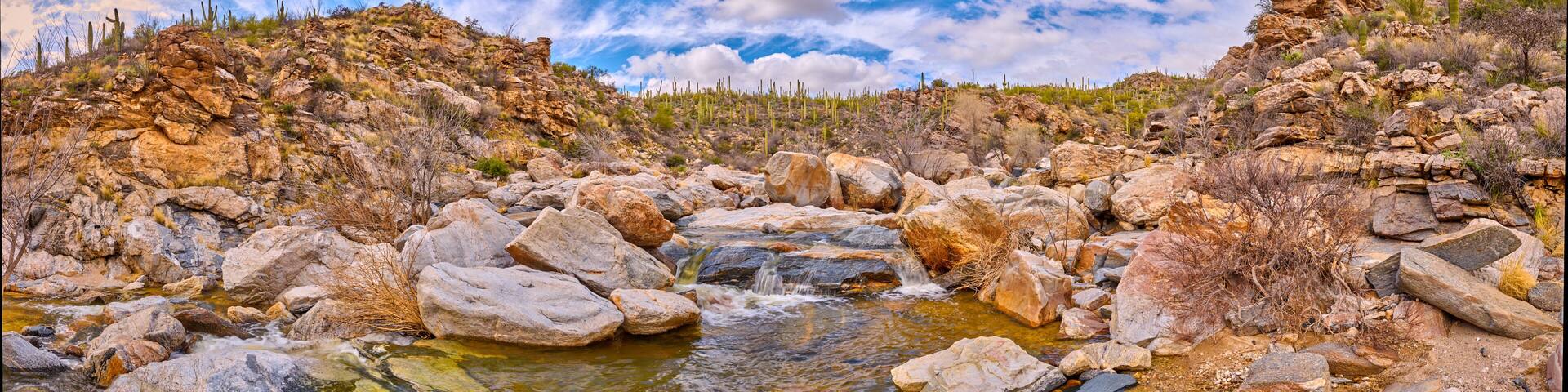 Panoramic view of Tanque Verde Creek in the Coronado National Forest, Arizona.