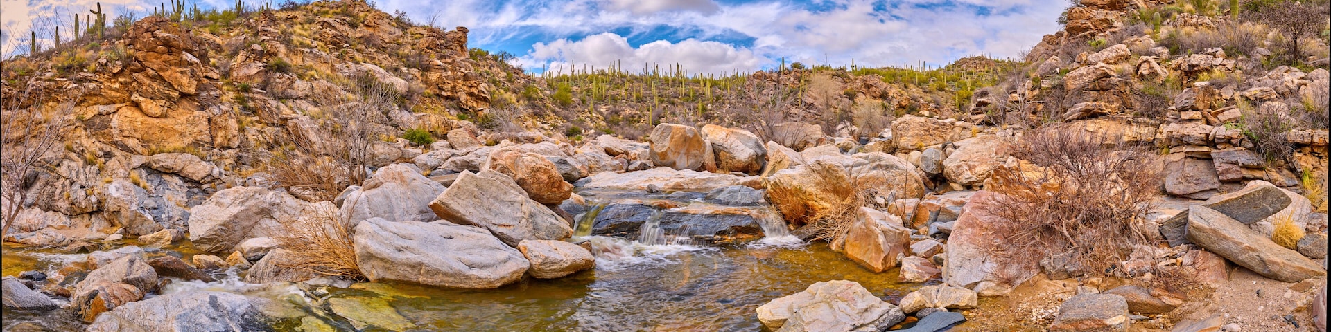 A rocky stream with large boulders and sparse vegetation, including cacti, under a partly cloudy sky.