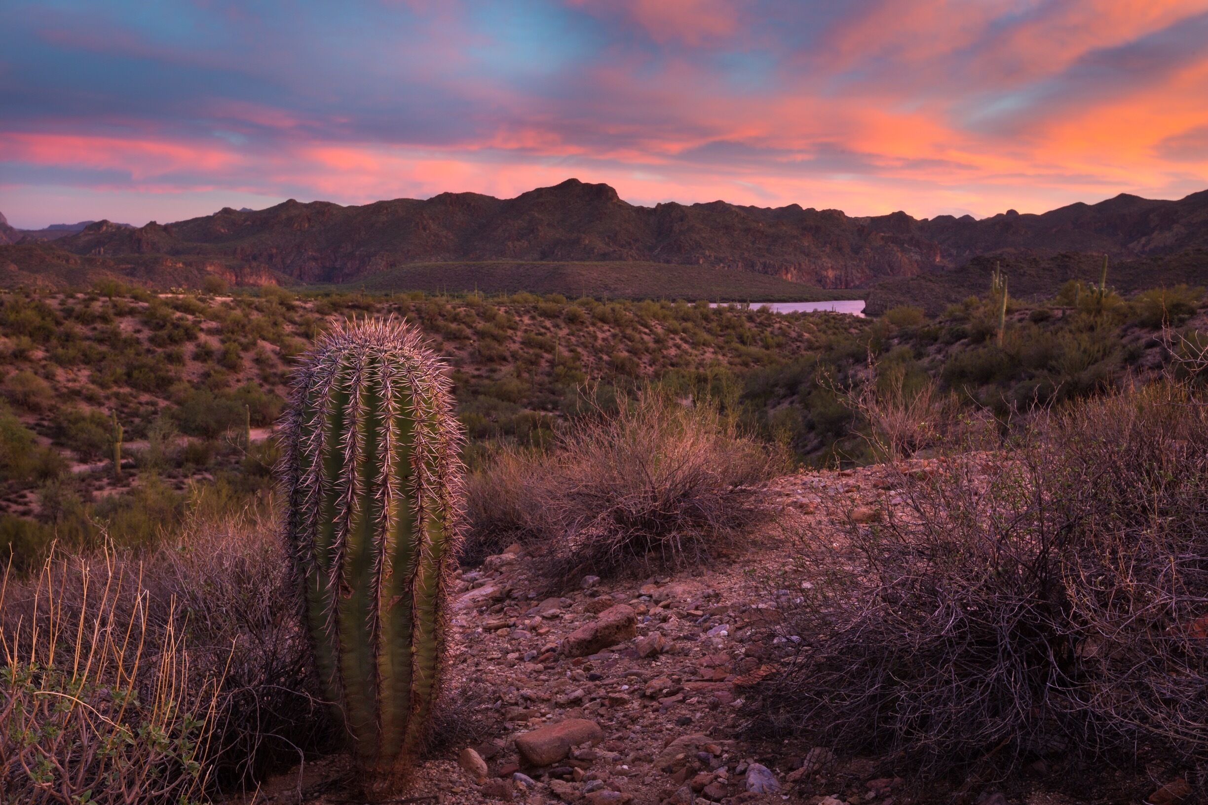 A desert landscape with a prominent cactus, rocky terrain, and distant mountains under a colorful sky.