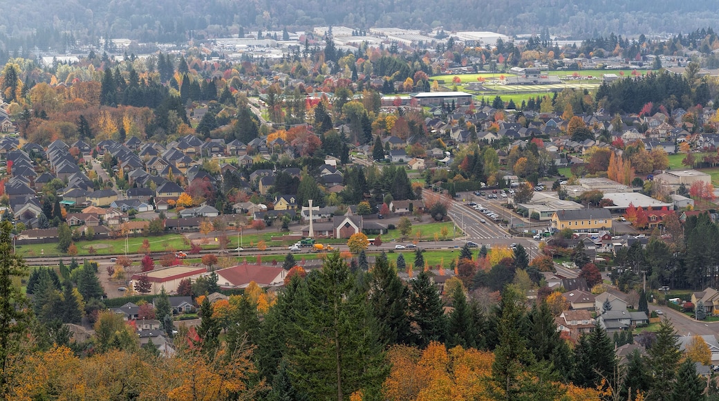 وادي السعادة